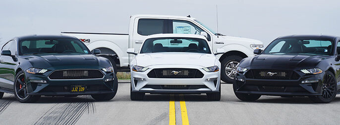 Mustangs all lined up