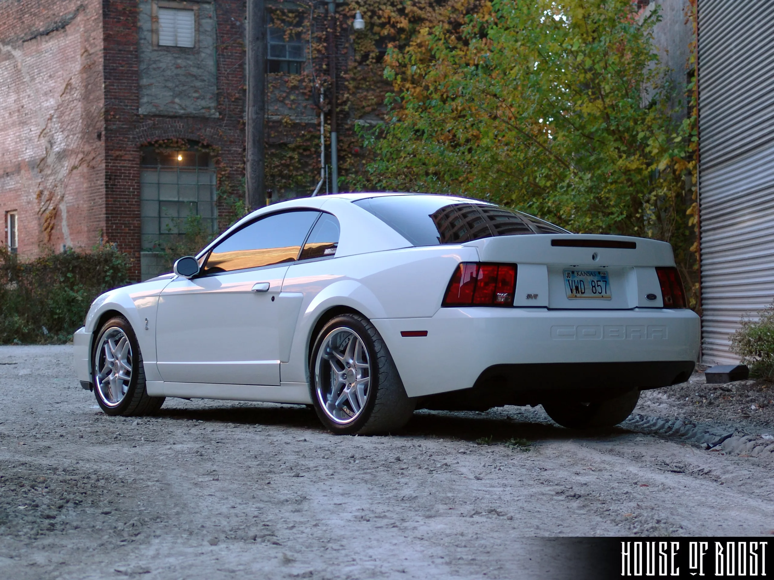 House of Boost built ProCharged Ford Mustang Cobra in white rear quarter panel