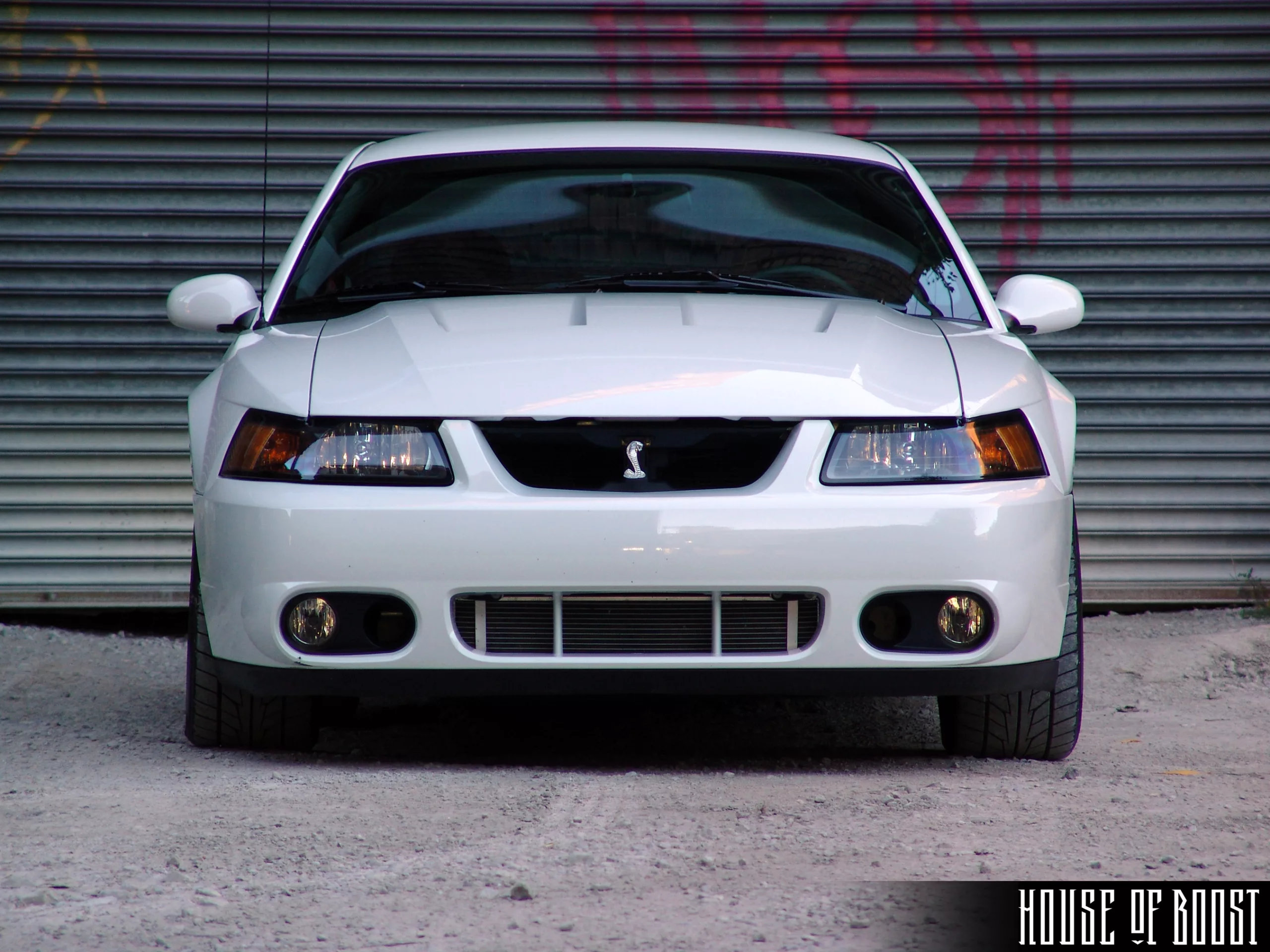 House of Boost built ProCharged Ford Mustang Cobra in white front end