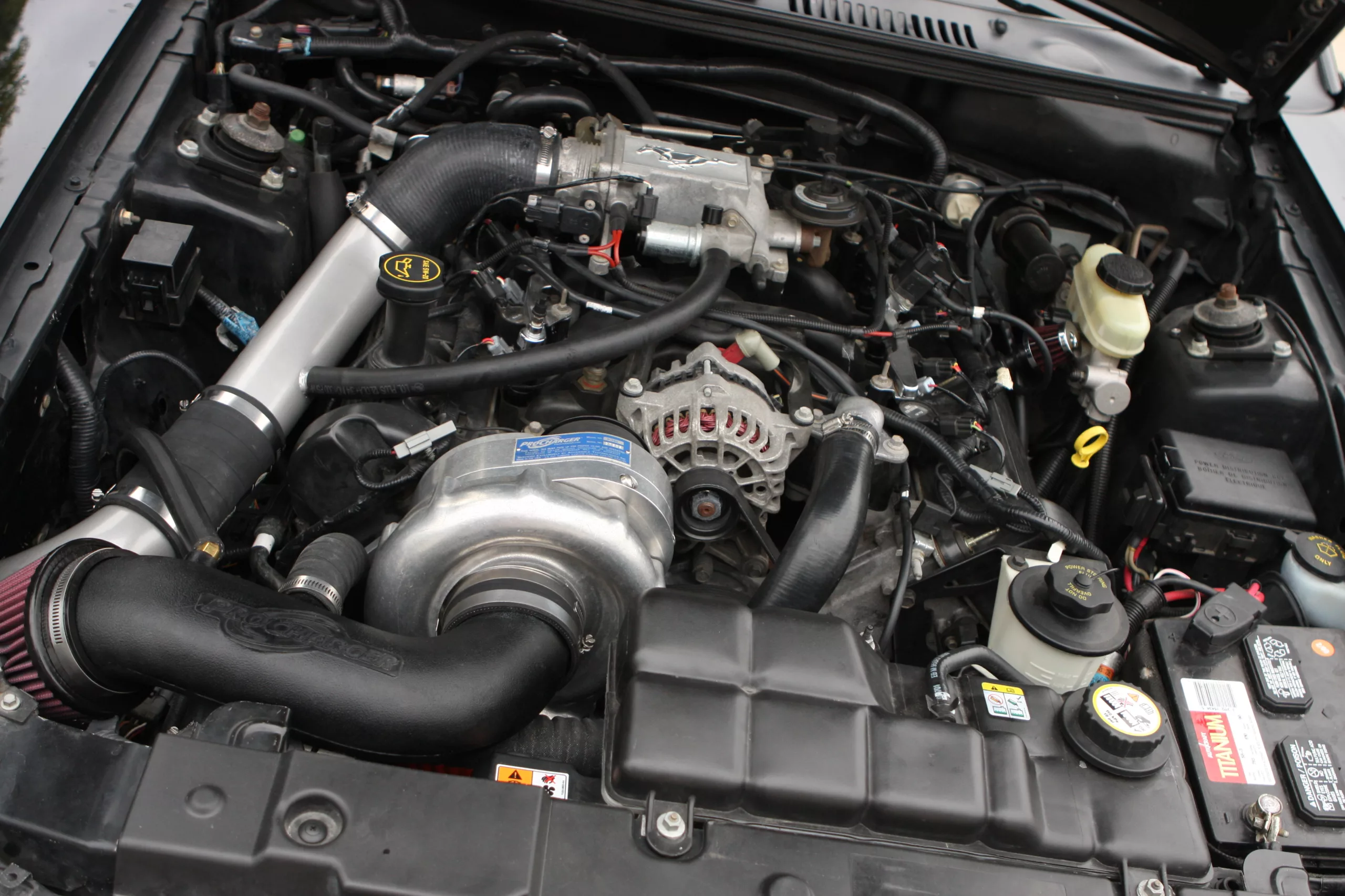 2001 Ford Mustang V6 Black ProCharged underhood Stage 2