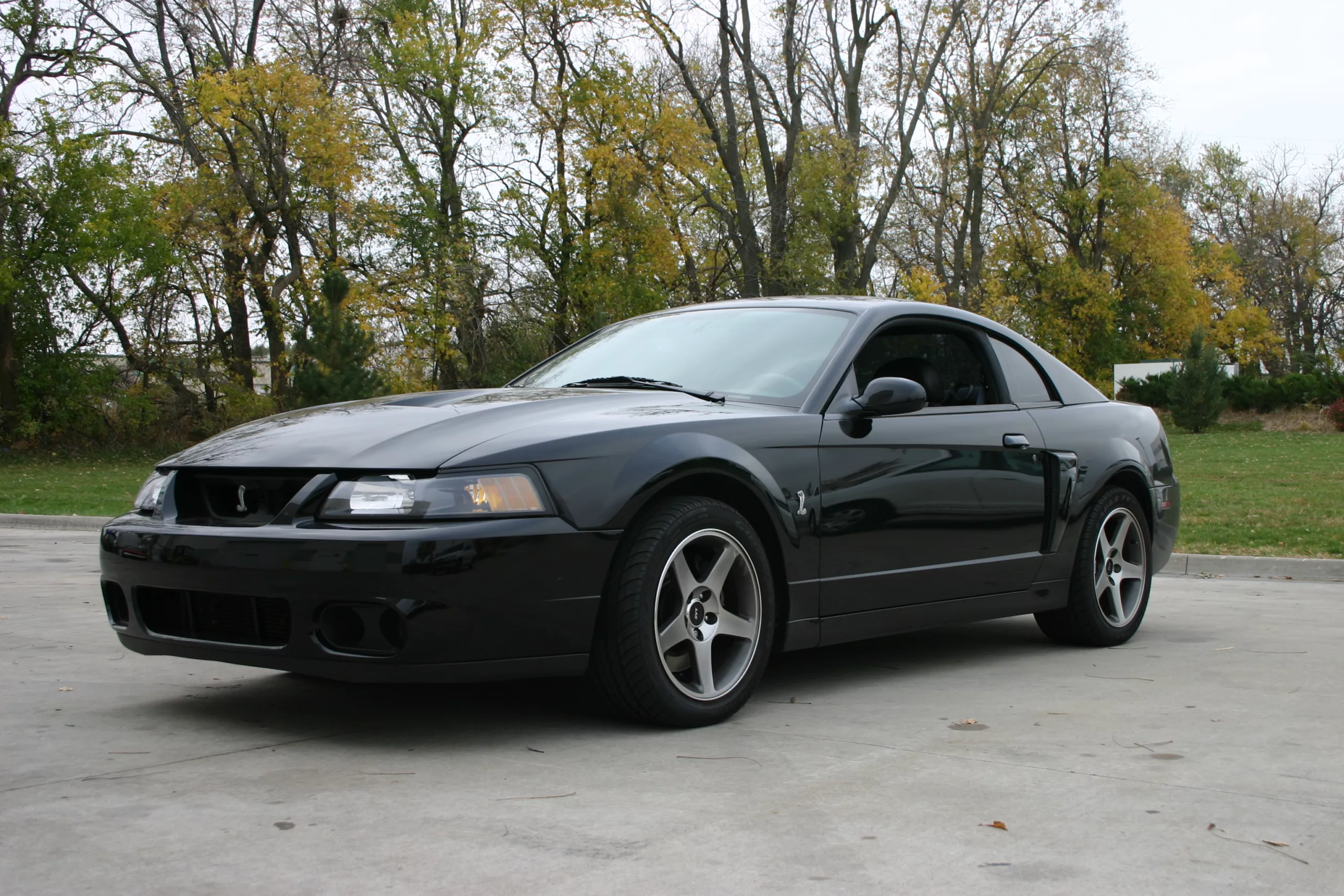 ProCharged 2003 Ford Mustang Cobra
